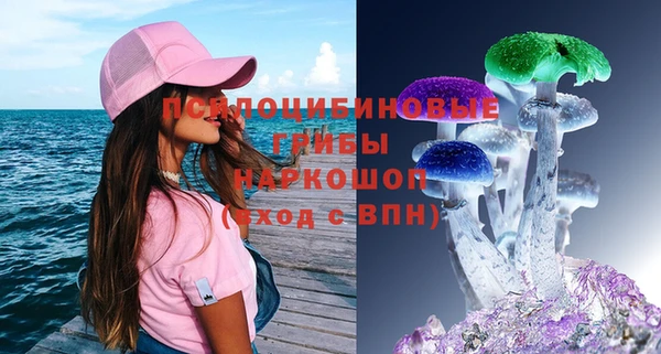 PSILOCYBIN Богданович