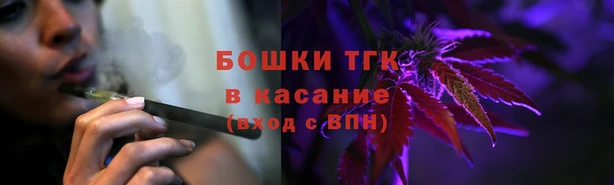 PSILOCYBIN Богданович