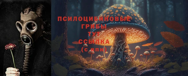 героин Богородицк